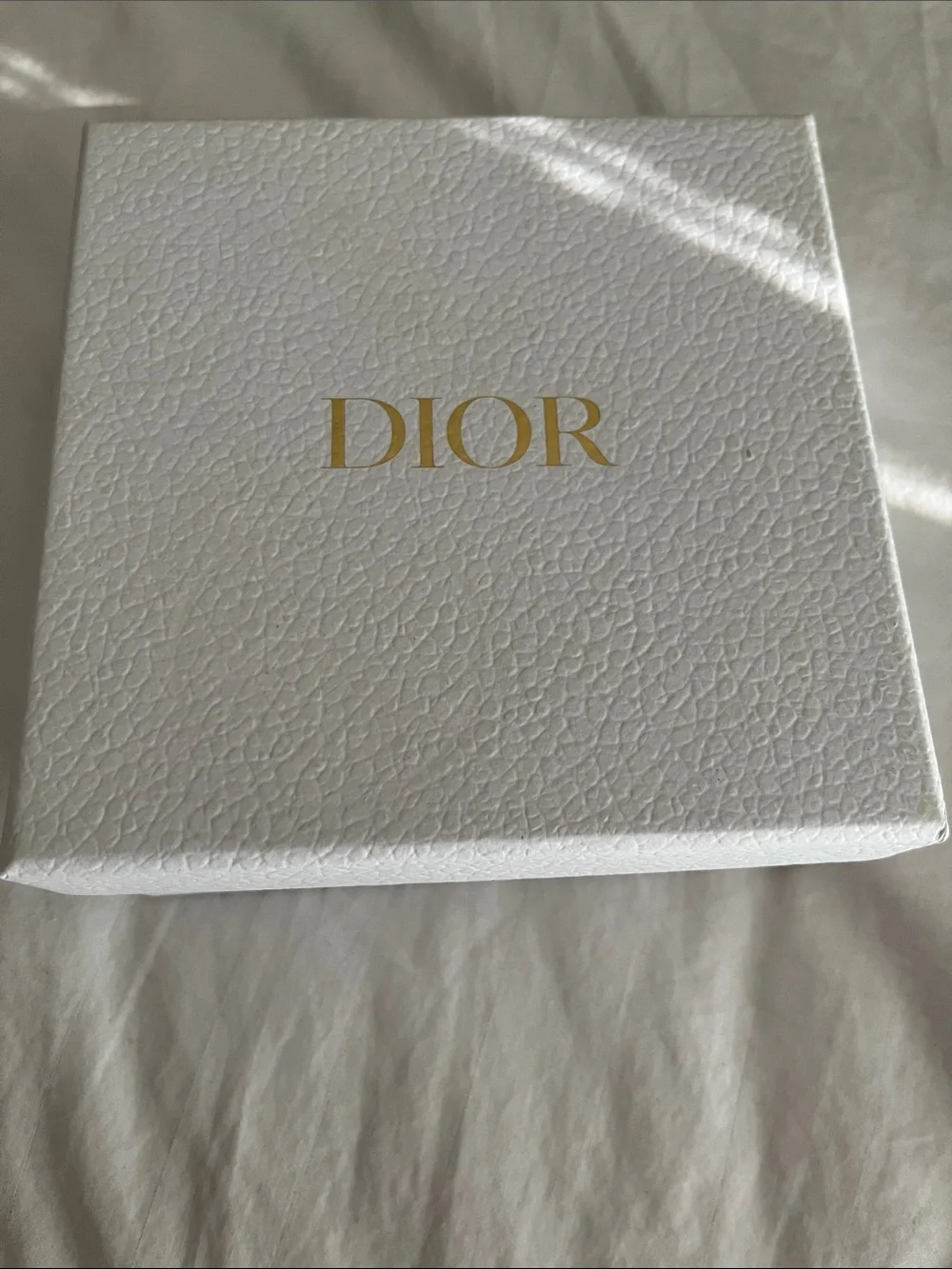 Dior blue leather